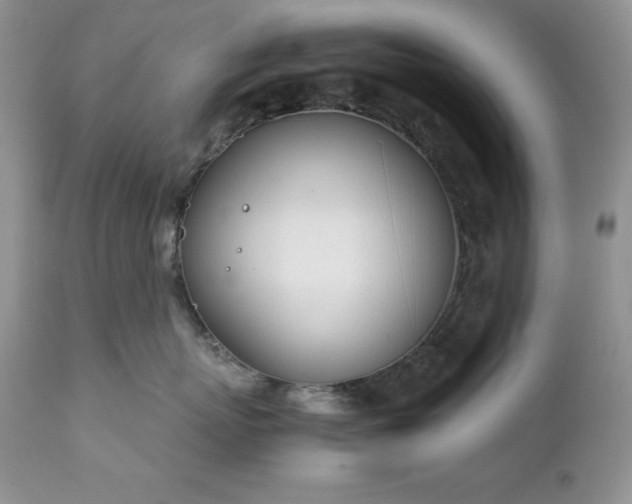 X0000111780767200907301121