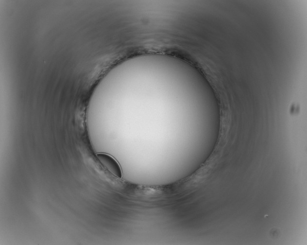 X0000111780768200907301121