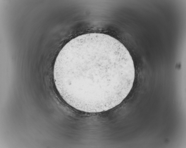X0000111780769200907301120