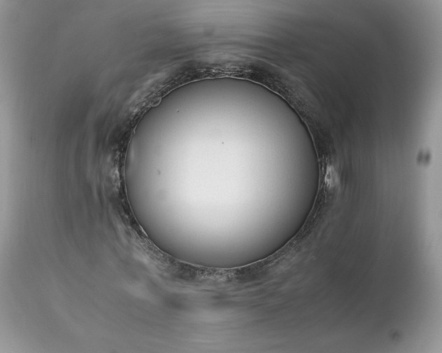 X0000111780771200907301120