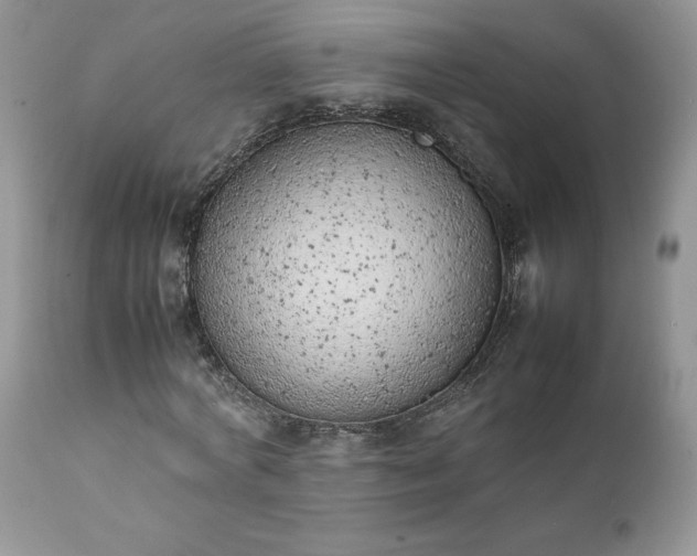 X0000111780772200907301120