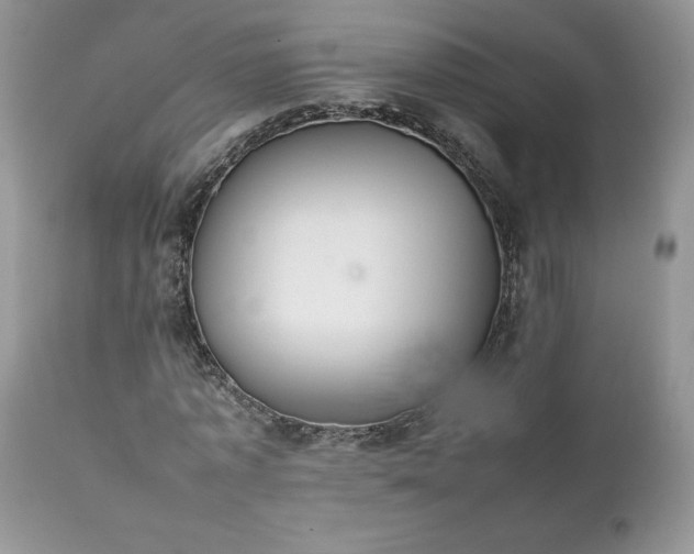 X0000111780773200907301120