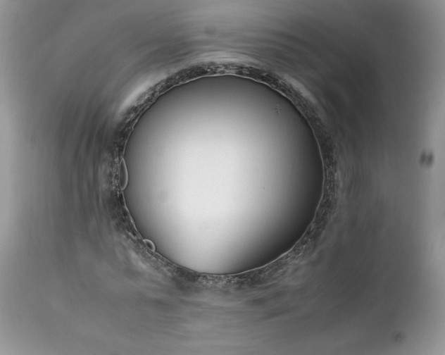 X0000111780775200907301120