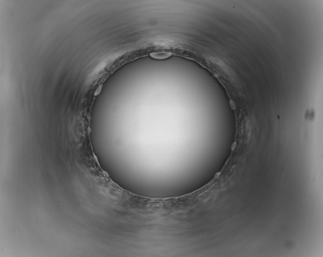 X0000111780776200907301120