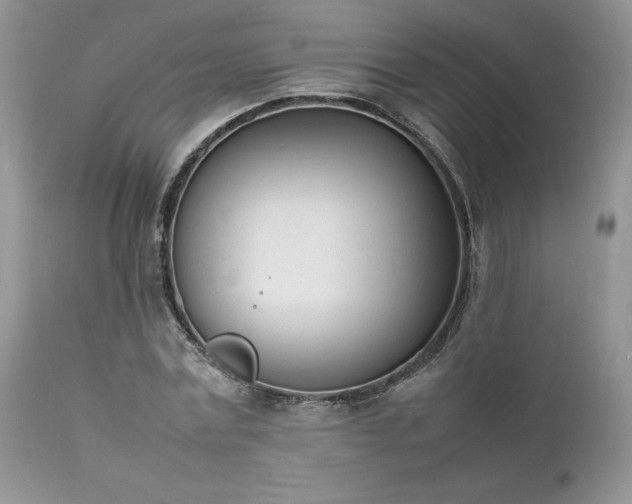 X0000111780779200907301120