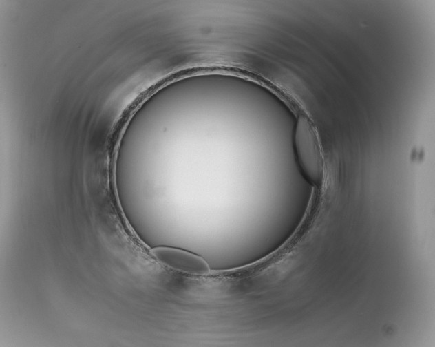 X0000111780781200907301120
