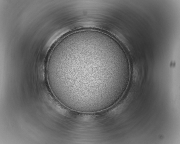 X0000111780782200907301120