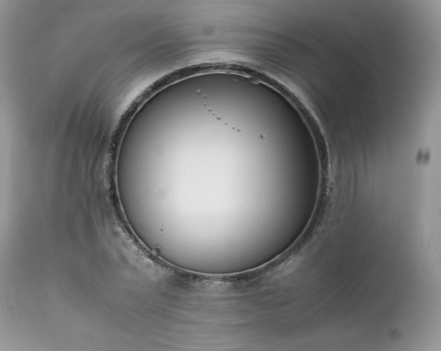 X0000111780783200907301120