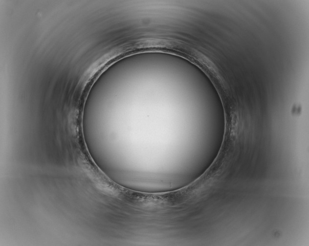 X0000111780786200907301120