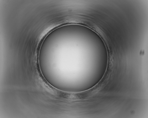 X0000111780787200907301120