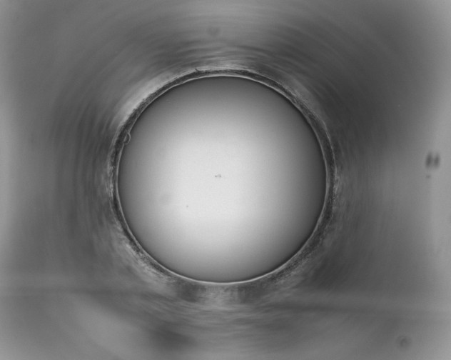 X0000111780789200907301120
