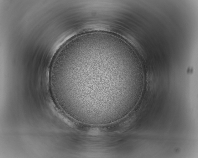 X0000111780790200907301120