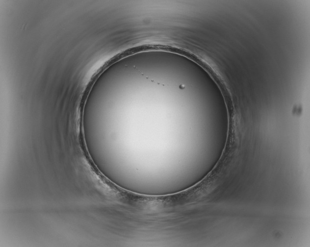 X0000111780791200907301120