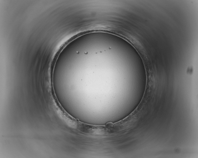 X0000111780792200907301120