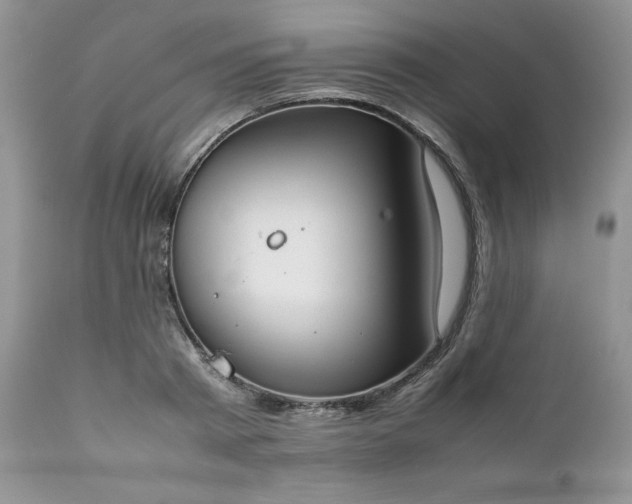 X0000111780793200907301120