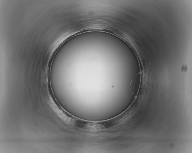 X0000111780795200907301119