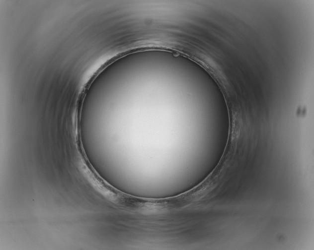 X0000111780796200907301119