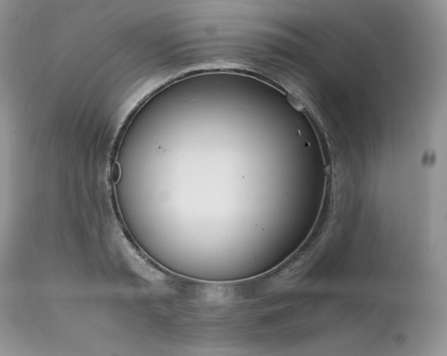 X0000111780797200907301119
