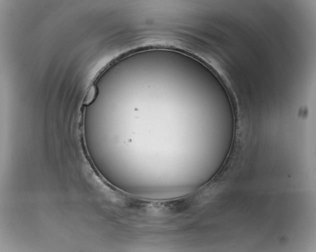 X0000111780799200907301119