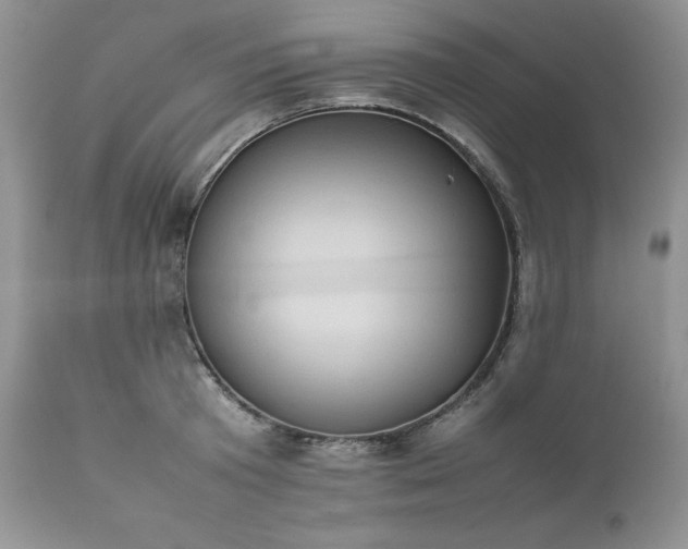 X0000111780801200907301119
