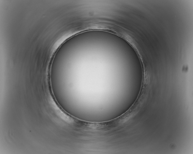 X0000111780803200907301119