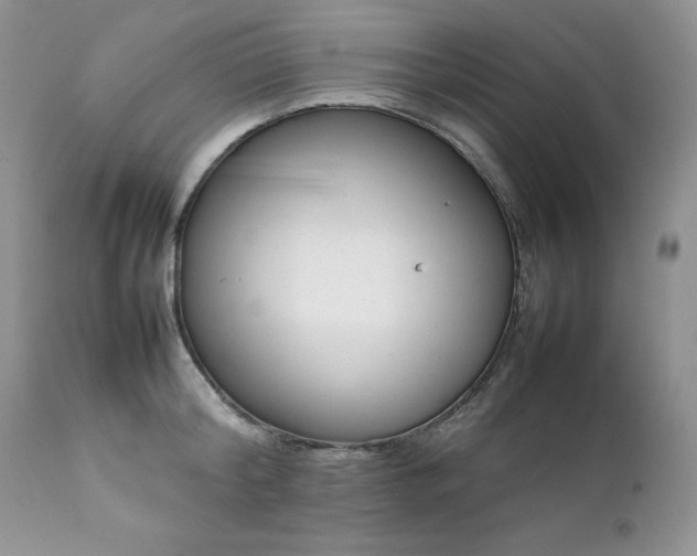 X0000111780804200907301119