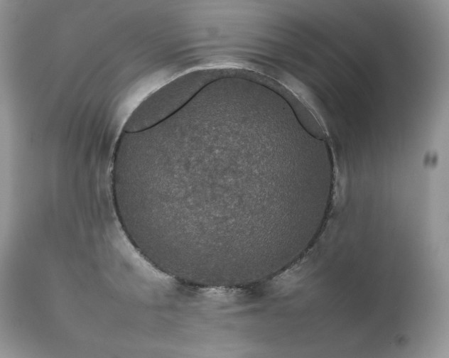 X0000111780805200907301119