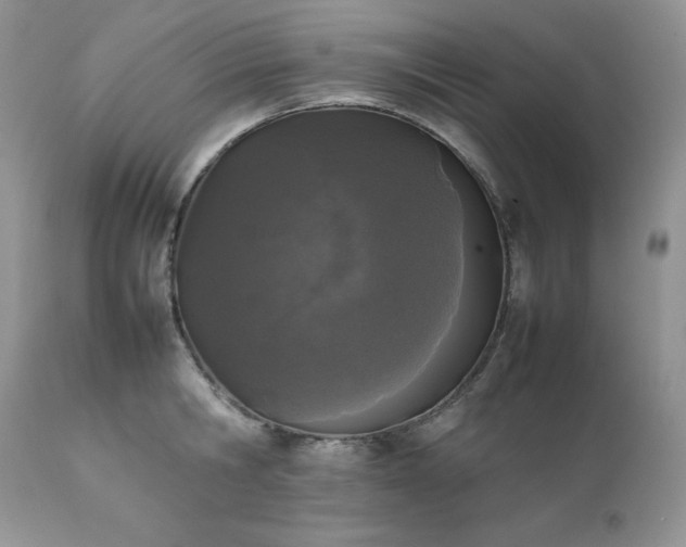 X0000111780806200907301119