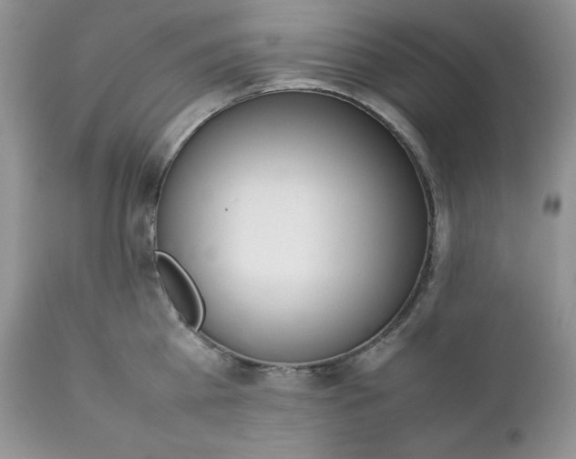 X0000111780809200907301119