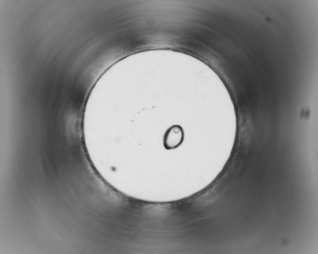 X0000111780810200907301119