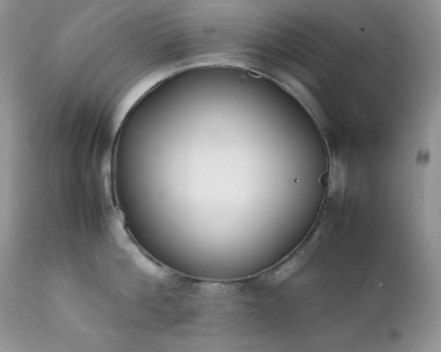 X0000111780812200907301119