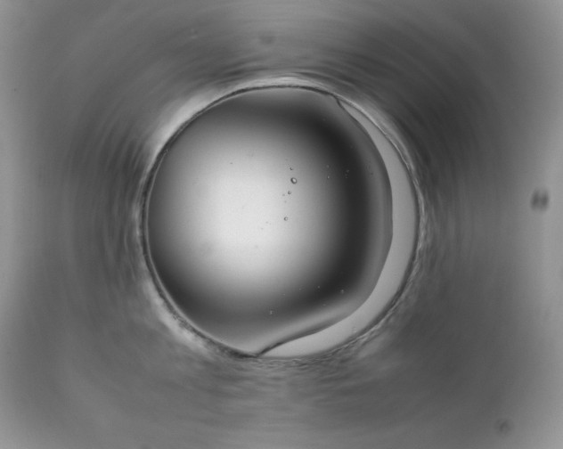 X0000111780813200907301119
