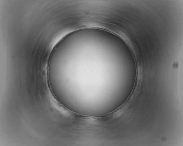 X0000111780814200907301119