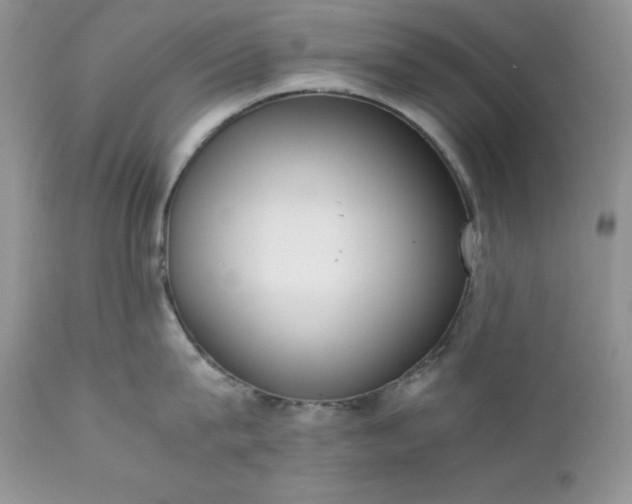 X0000111780815200907301119