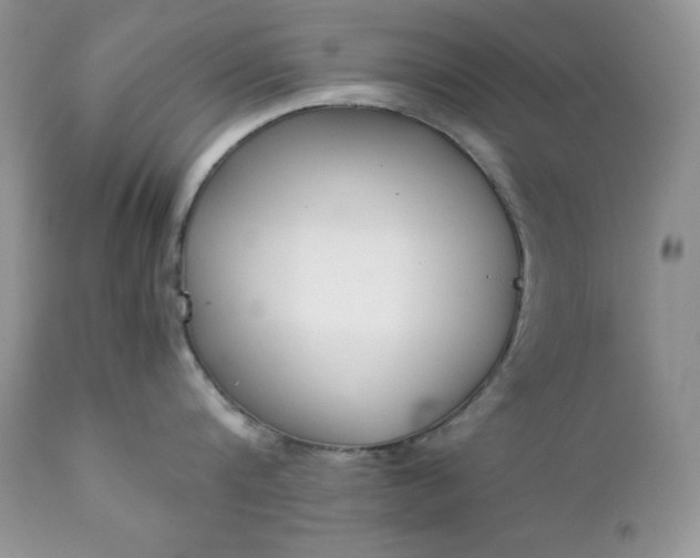X0000111780816200907301119