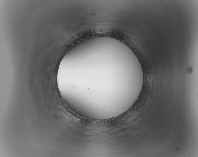 X0000111780817200907301118