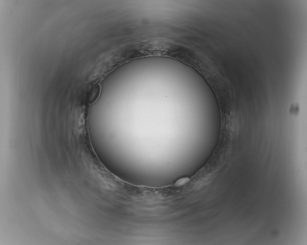 X0000111780818200907301118