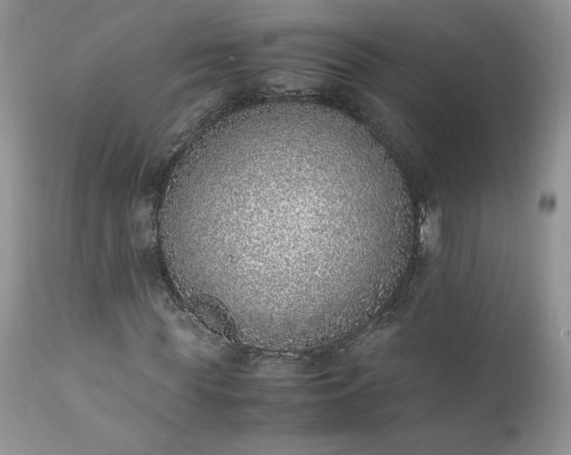 X0000111780819200907301118