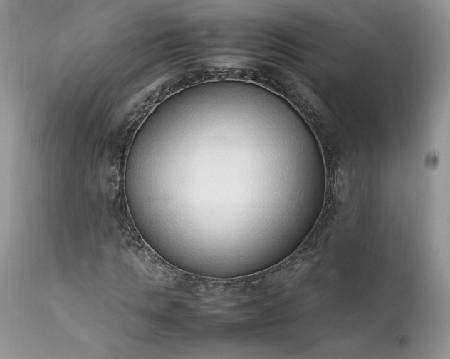 X0000111780821200907301118