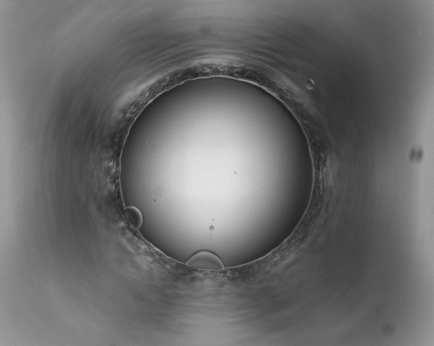 X0000111780822200907301118