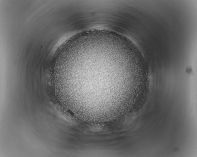 X0000111780823200907301118