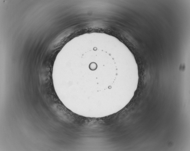 X0000111780824200907301118