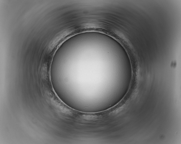 X0000111780825200907301119