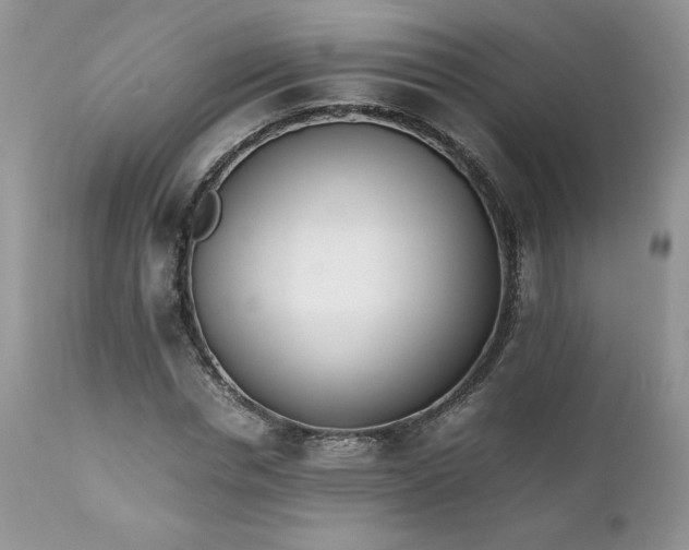 X0000111780826200907301119