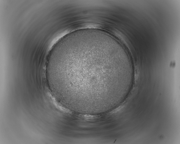 X0000111780827200907301119