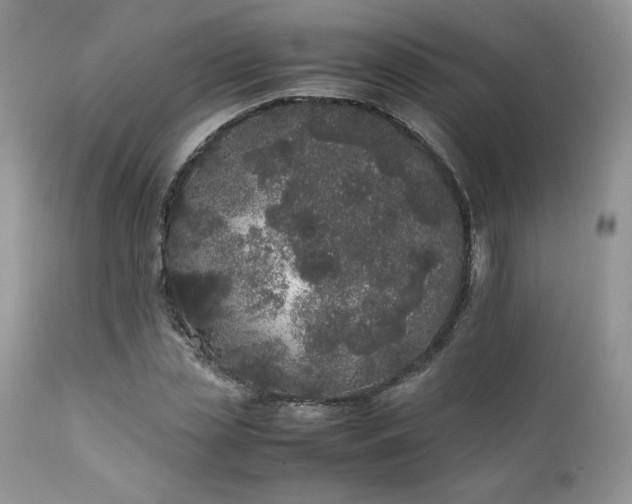 X0000111780829200907301119