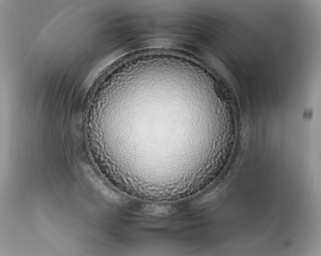 X0000111780831200907301119