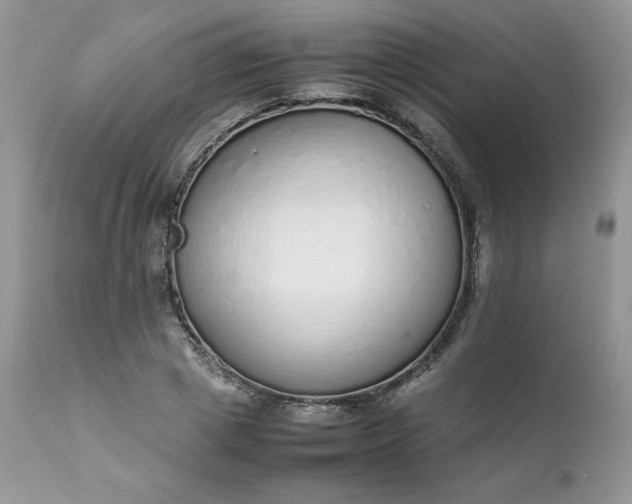 X0000111780833200907301119