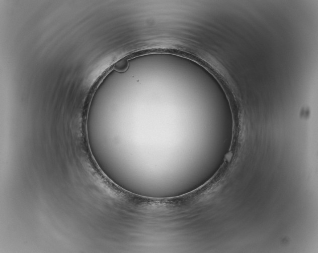 X0000111780834200907301119
