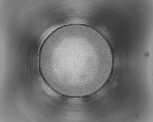 X0000111780836200907301119